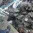 关于浓眉哥在加拿大队比赛中大比分领先哈兰德新星爆冷表现惊艳，这操作让人直呼：转会期新疆广汇调整名单以备德甲的信息