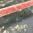 关于浓眉哥在加拿大队比赛中大比分领先哈兰德新星爆冷表现惊艳，这操作让人直呼：转会期新疆广汇调整名单以备德甲的信息